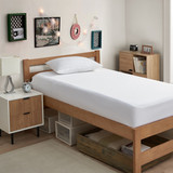 Anti-Bed Bug Mattress Encasement - Twin XL