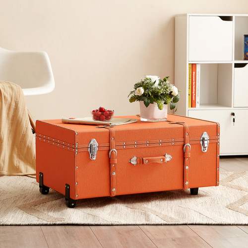 Texture® Brand Trunk - Orange