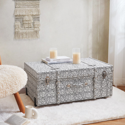 Texture® Brand Trunk - Silver Snakeskin