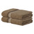 Ombre Stripe College Bath Towel - Tan