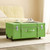 Texture® Brand Trunk - Kiwi Green