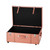 Texture® Brand Trunk - Peachy Snake