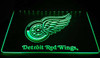 Detroit, Red Wings, led, neon, sign