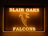 LED, Neon, Sign, light, lighted sign, blair oaks, falcons