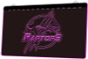 LED, Neon, Sign, light, lighted sign, custom, Toronto, Raptors