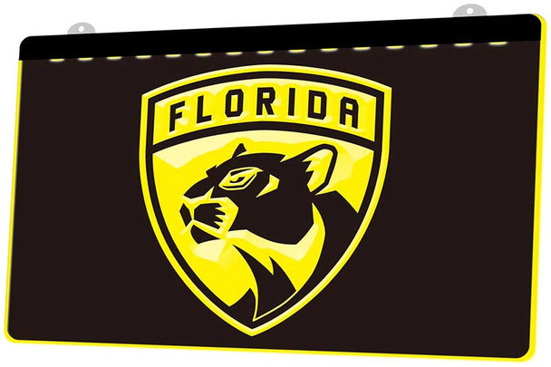 Florida, Panthers, led, neon, sign