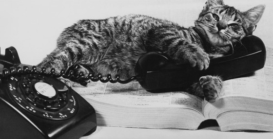 LOREM IPSUM SIT AMET
