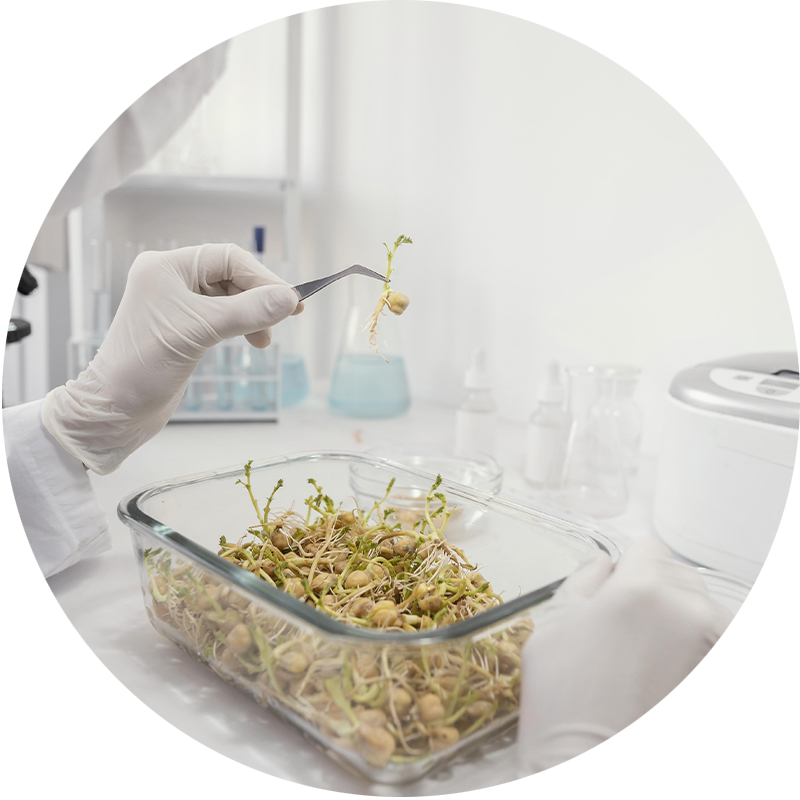 servicio Formulación magistral