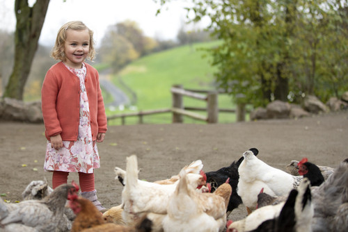 Enfant Terrible - Organic Strickjacke Baumwolle Copper