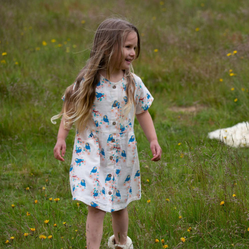 Little Green Radicals - Organic Kleid Bluebirds
