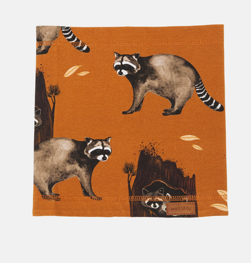 Walkiddy - Loop Curious Raccoons