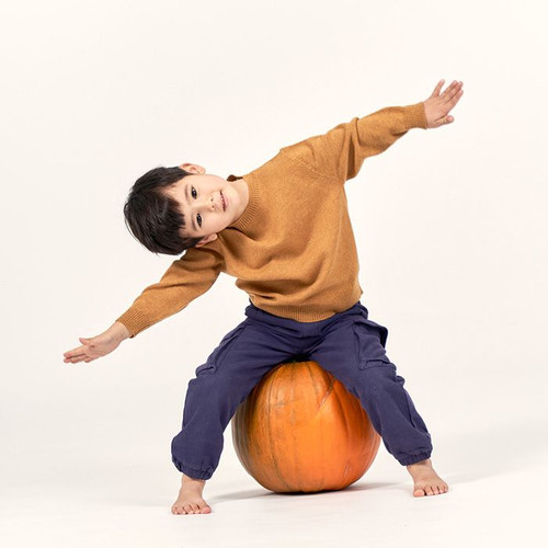 Sense Organics - Organic Sweater IKE Merinowolle Camel