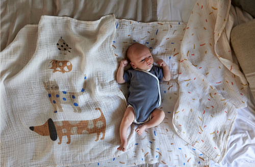 Lässig - Organic Swaddle Musselindecke L 80x80 Little Mateys royal blue 3er Pack