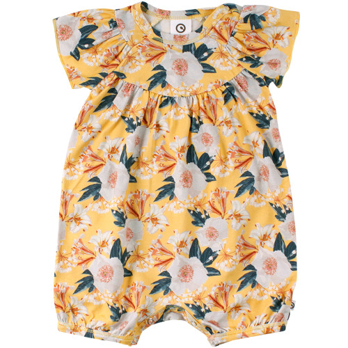 Müsle bloom father beach body