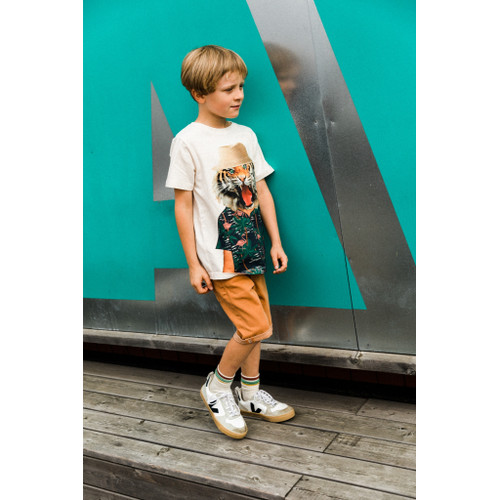Chino Shorts hazel the new