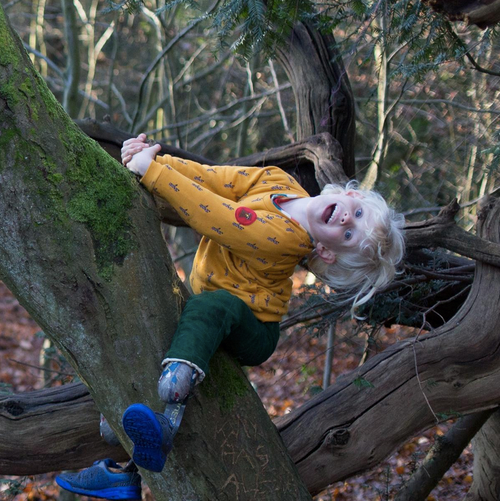 Little Green Radicals - Golden Forest Sweatshirt
