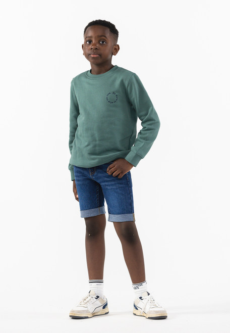 The New - Denim Shorts dark Blue