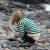 Little Greene Radicals - Organic Streifen Ripp Pulli