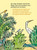 Buch „Der Junge, der Ball und die Mauer“ von Noemi Schneider &Katrin Stangl