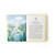 Buch „Finns furchtbartolle Ferien“ von Annika Klee & Lena Hesse
