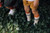 Kniestrumpf Rippe Retro Style Fleet Mamas Feet