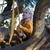 Little Green Radicals - Golden Forest Sweatshirt