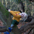 Little Green Radicals - Golden Forest Sweatshirt