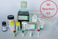 PVM ELISA Kit - 96 Reactions PVM ELISA Kit - 96 Reactions