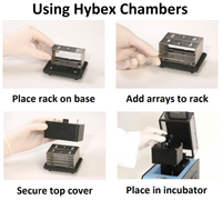 Hybex Microarray Chamber Kit