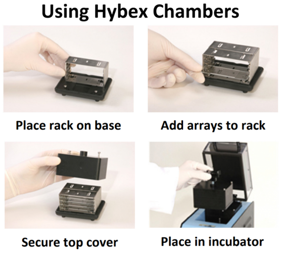 Hybex Microarray Chamber Kit