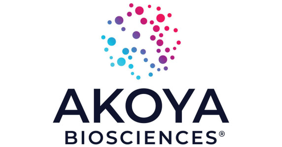 Anti-Hu CD11c(AKYP0042)-BX027 Alexa Fluor  647 Anti-Hu CD11c(AKYP0042)-BX027 Alexa Fluor  647