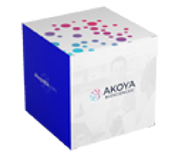 Coverslips for Phenocycler Coverslips for Phenocycler