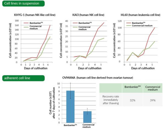 Comparison of Bambanker with another cryopreservation medium