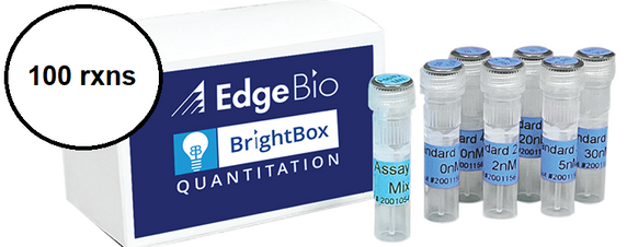 BrightBox Library Prep Assay and Control Kit 100 reactions