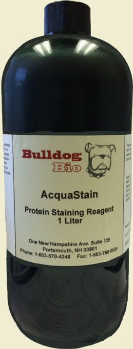 AcquaStain Protein Gel Stain