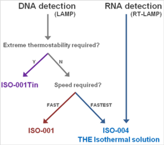 Isothermal Mastermix selection flowchart