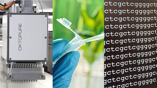 genotyping5-1-1-.jpg