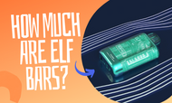 How Much Are Elf Bars?