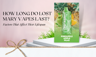 How Long Do Lost Mary Vapes Last? Factors Affecting Lifespan