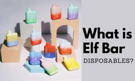 What is Elf Bar Disposable?