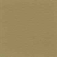 SANDY BUFF COLOR HARDENER - 5 GALLON - Moon Decorative Concrete
