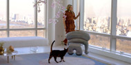 In Conversation With Kelly Behun In Conversation With Kelly Behun