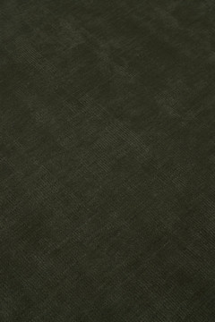 Drift Silk Moss by The Rug Company - closeup