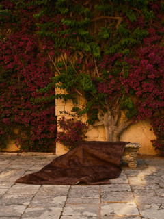 Mohair Shag rug in Carob, outdoor editorial shot in a courtyard setting