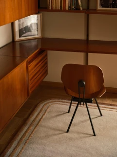 Arc rug in Amber, styled vignette beside a built-in wood cabinet