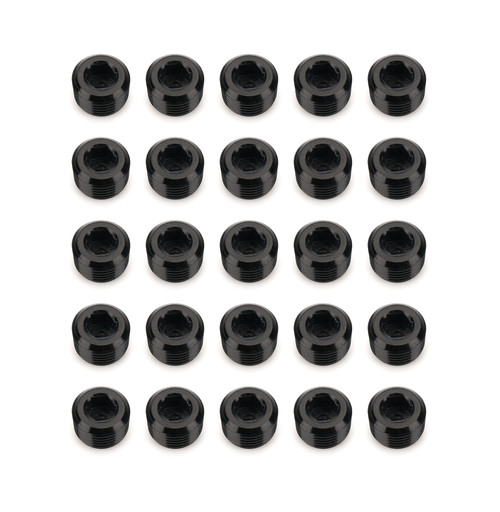 1/8in NPT Socket Head Pipe Plug 25/pkg Black