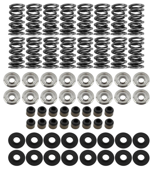 Platinum Dual Spring LS Kit Steel Retainer Platinum Dual Spring LS Kit Steel Retainer