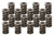 Valve Springs - HR Series (16)