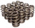 1.307 Valve Springs - Ovate Beehive (16)