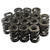 1.625 Dual Valve Springs (16)